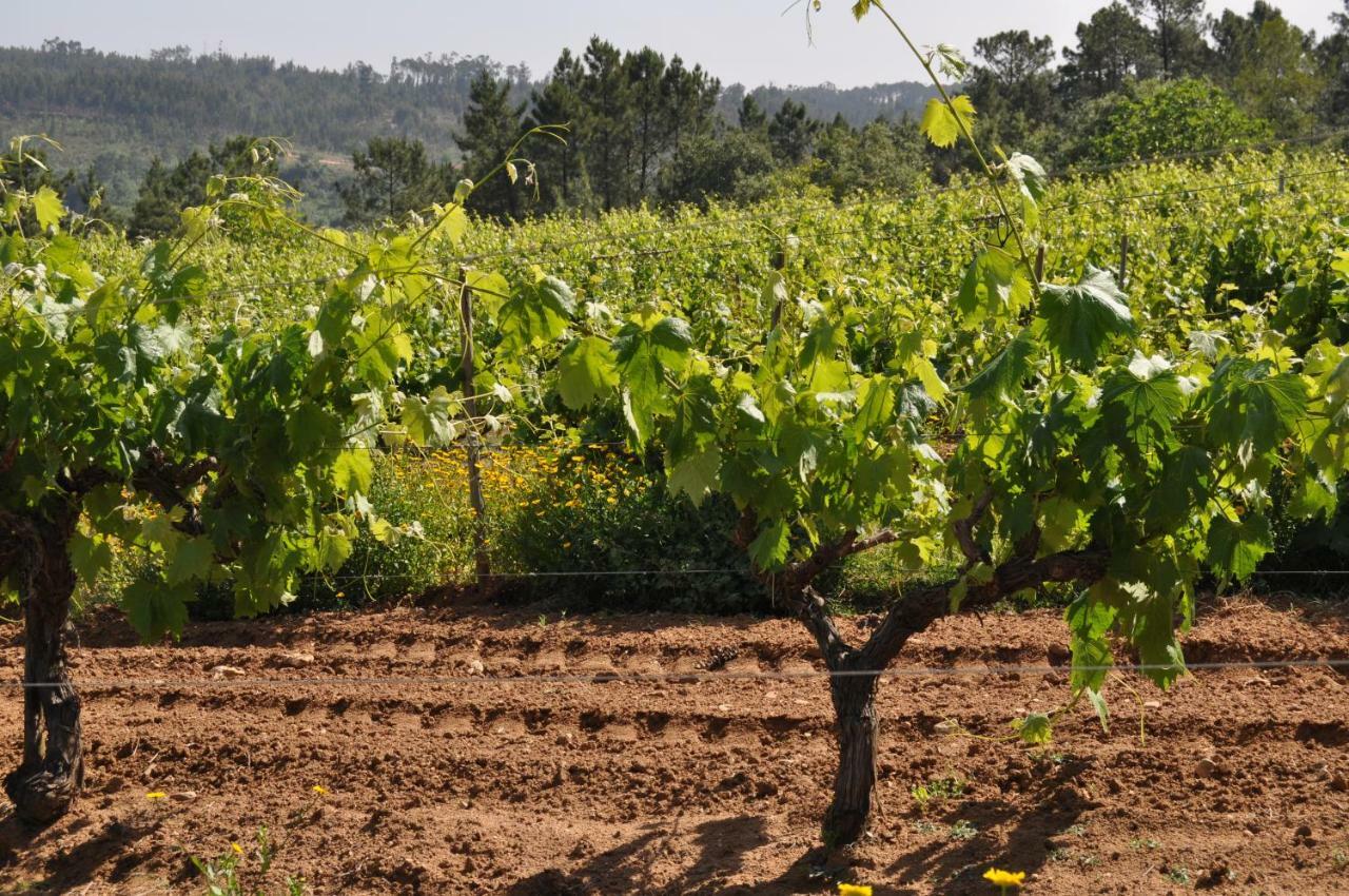 Quinta Da Serrana Оурен Экстерьер фото