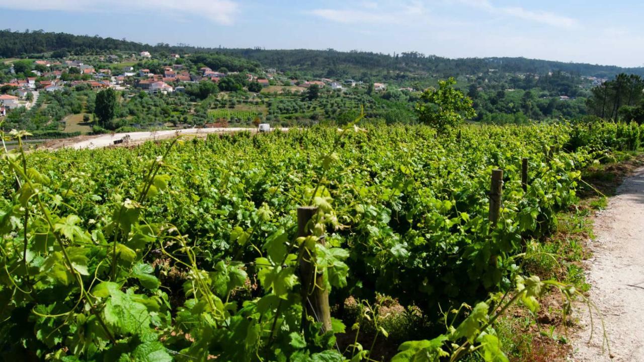 Quinta Da Serrana Оурен Экстерьер фото